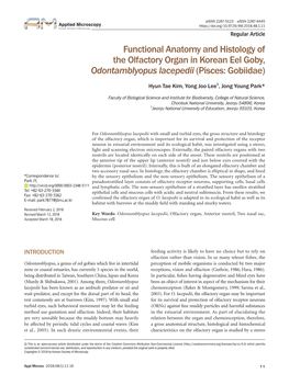 Functional Anatomy and Histology of the Olfactory Organ in Korean Eel Goby, Odontamblyopus Lacepedii (Pisces: Gobiidae)