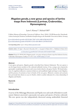 Megalara Garuda, a New Genus and Species of Larrine Wasps from Indonesia (Larrinae, Crabronidae, Hymenoptera)