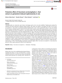 Protective Effect of Vaccinium Arctostaphylos L. Fruit Extract on Gentamicin-Induced Nephrotoxicity in Rats