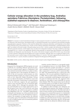 Cellular Energy Allocation in the Predatory Bug, Andrallus Spinidens