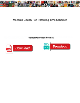 Macomb County Foc Parenting Time Schedule