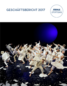 GESCHÄFTSBERICHT 2017 TITELBILD Schauspielerei Als Instrument Zur Selbsterkenntnis – Bei Theatertotal Gehört Dies Zum Konzept