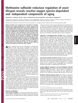 Methionine Sulfoxide Reductase Regulation of Yeast Lifespan Reveals Reactive Oxygen Species-Dependent and -Independent Components of Aging