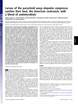Larvae of the Parasitoid Wasp Ampulex Compressa Sanitize Their Host, the American Cockroach, with a Blend of Antimicrobials