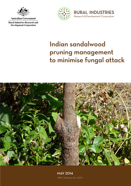 Indian Sandalwood Pruning Management to Minimise Fungal Attack