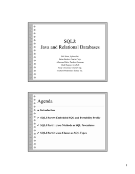 SQLJ: Java and Relational Databases