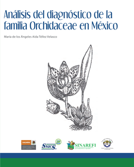 Análisis Del Diagnóstico De La Familia Orchidaceae En México