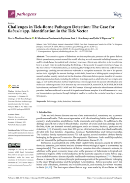 The Case for Babesia Spp. Identification in the Tick Vector