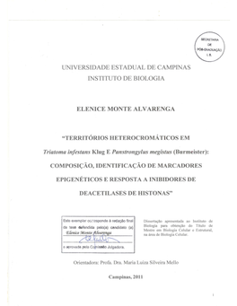 Alvarenga Elenicemonte M.Pdf