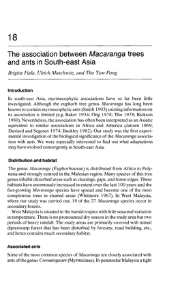 The Association Between Macaranga Trees and Ants in South-East Asia Brigitte Fiala, Vlrich Maschwitz, and Tha Yaw Pang