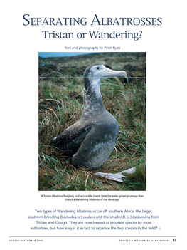 SEPARATING ALBATROSSES Tristan Or Wandering?