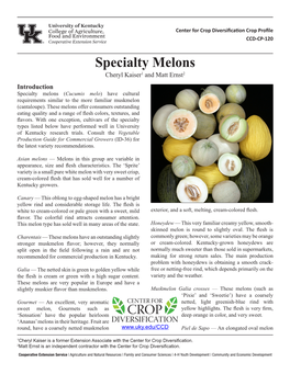 Specialty Melons