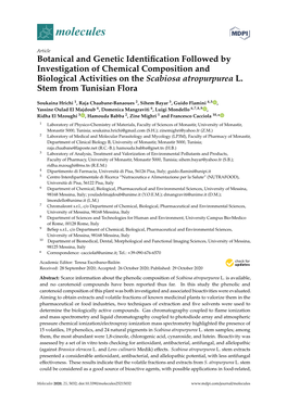 Botanical and Genetic Identification Followed by Investigation Of