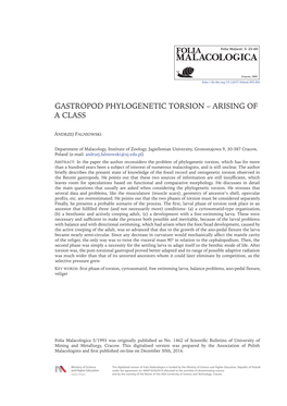 Gastropod Phylogenetic Torsion – Arising of a Class