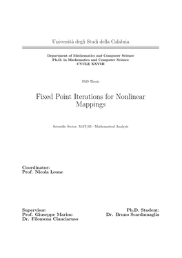 Fixed Point Iterations for Nonlinear Mappings