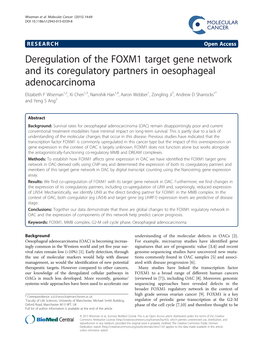 Deregulation of the FOXM1 Target Gene Network and Its Coregulatory