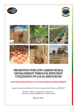 Promotion for Low Carbon Rural Development Through Efficient Utilization of Local Resources