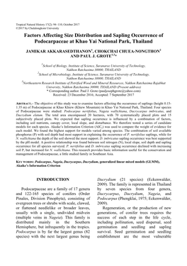 Factors Affecting Size Distribution and Sapling Occurrence of Podocarpaceae at Khao Yai National Park, Thailand