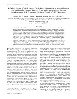 Efficient Repair of All Types of Single-Base Mismatches