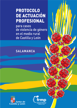 PROTOCOLO DE ACTUACIÓN PROFESIONAL Para Casos De Violencia De Género En El Medio Rural De Castilla Y León