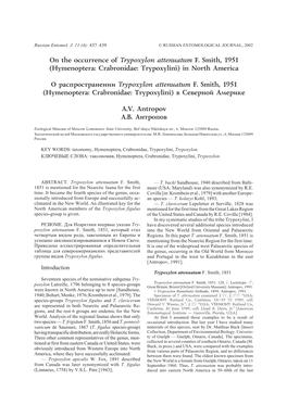 Hymenoptera: Crabronidae: Trypoxylini) in North America