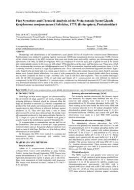 Fine Structure and Chemical Analysis of the Metathoracic Scent Glands Graphosoma Semipunctatum (Fabricius, 1775) (Heteroptera, Pentatomidae)