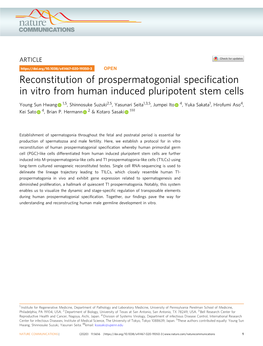 Reconstitution of Prospermatogonial Specification in Vitro from Human Induced Pluripotent Stem Cells