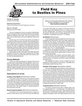 Field Key to Beetles in Pines