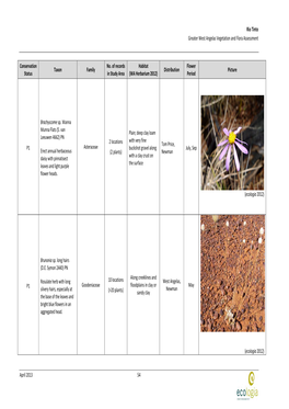 Vegetation and Flora Assessment