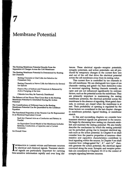 Membrane Potential