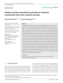 Modern Termites Inherited the Potential of Collective Construction from Their Common Ancestor