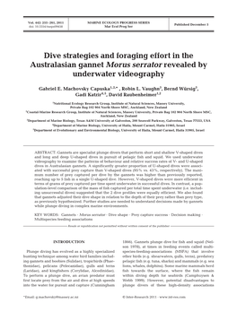 Dive Strategies and Foraging Effort in the Australasian Gannet Morus Serrator Revealed by Underwater Videography