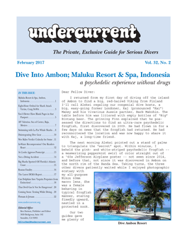 Dive Into Ambon; Maluku Resort & Spa, Indonesia + [Other Articles