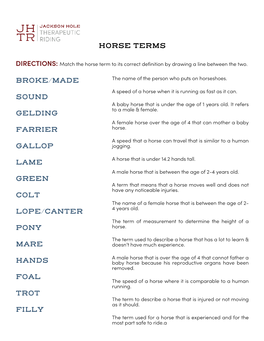 Common Horse Terms