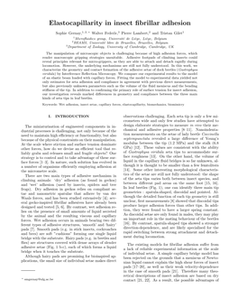 Elastocapillarity in Insect Fibrillar Adhesion