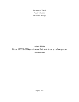 Wheat MATH-BTB Proteins and Their Role in Early Embryogenesis Graduation Thesis