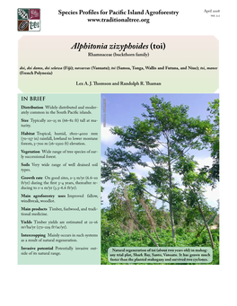 Alphitonia Zizyphoides (Toi)