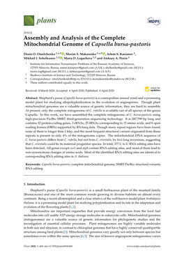 Assembly and Analysis of the Complete Mitochondrial Genome of Capsella Bursa-Pastoris