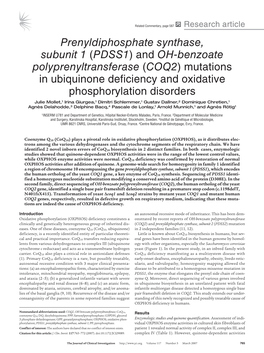 Prenyldiphosphate Synthase, Subunit 1 (PDSS1)