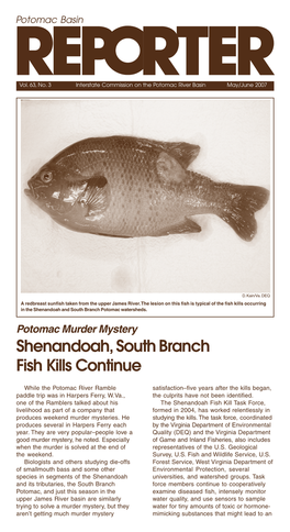 Shenandoah, South Branch Fish Kills Continue