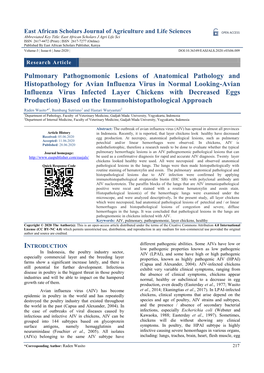 Pulmonary Pathognomonic Lesions of Anatomical Pathology And