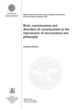 Brain, Consciousness and Disorders of Consciousness at the Intersection of Neuroscience and Philosophy
