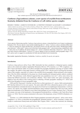 Cambarus (Jugicambarus) Adustus, a New Species of Crayfish from Northeastern Kentucky Delimited from the Cambarus (J.) Aff