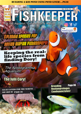 Novdec Fishkeeper 2019 #2