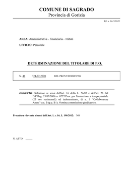 Determina Nomina Commissione