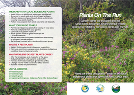 Plants on the Run Brochure