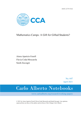 Mathematics Camps: a Gift for Gifted Students?