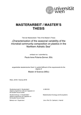 Masterarbeit / Master's Thesis