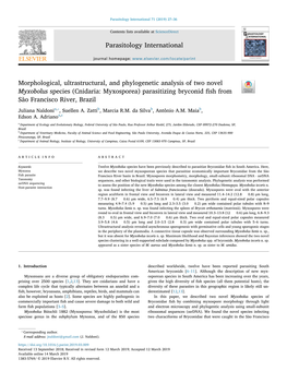 Morphological, Ultrastructural, and Phylogenetic Analysis of Two Novel