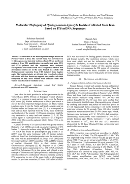 Molecular Phylogeny of Ophiognominia Leptostyla Isolates Collected from Iran Based on ITS Nrdna Sequences